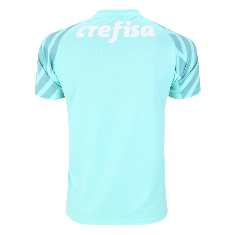 Camisa Palmeiras Goleiro 24/25 - Versão - Torcedor