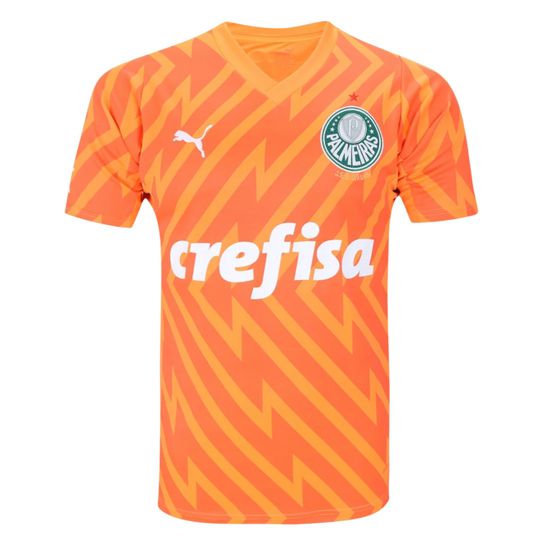 Camisa Palmeiras Goleiro 24/25 - Versão - Torcedor