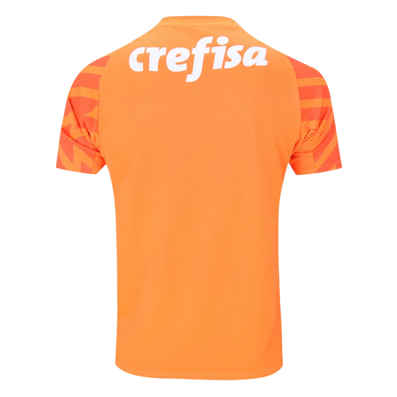 Camisa Palmeiras Goleiro 24/25 - Versão - Torcedor