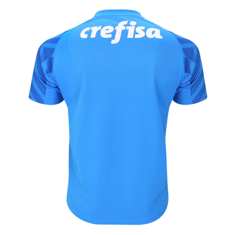 Camisa Palmeiras Goleiro 24/25 - Versão - Torcedor