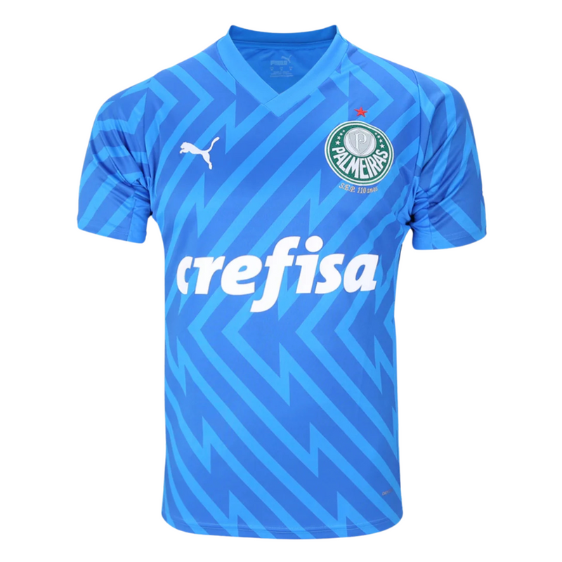 Camisa Palmeiras Goleiro 24/25 - Versão - Torcedor