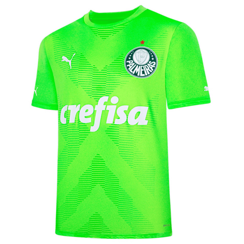 Camisa Palmeiras Goleiro 23/24 - Versão - Torcedor